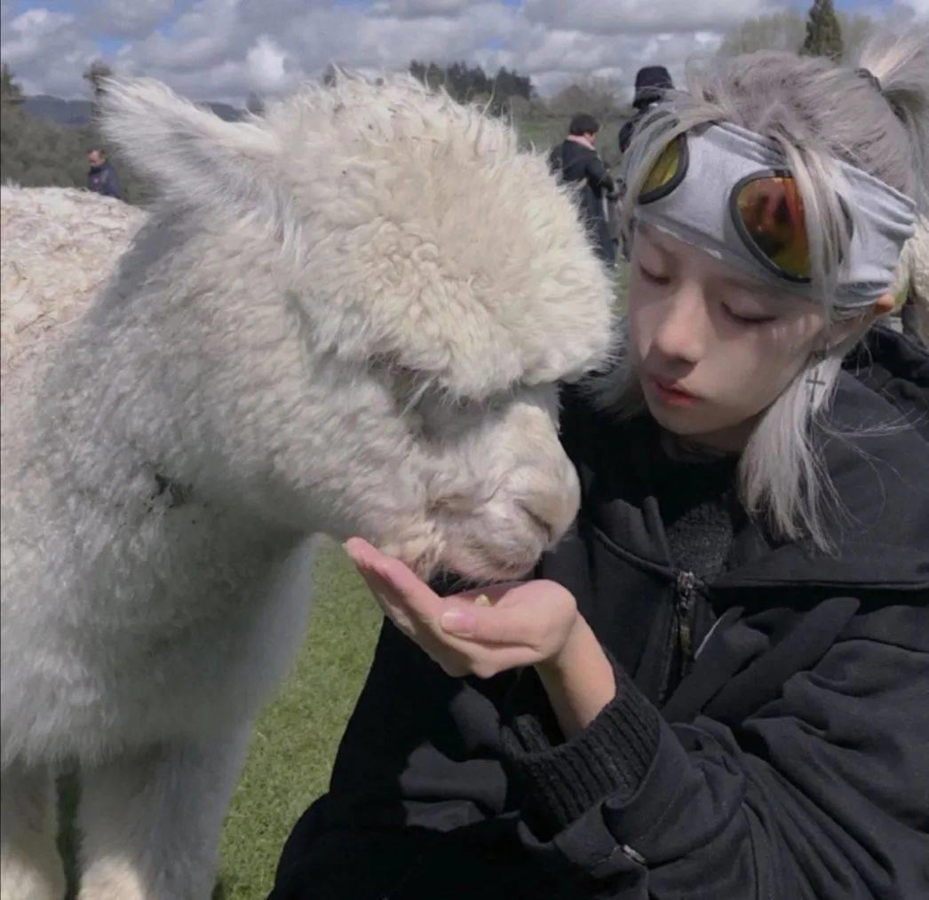 笑笑ღ高颜值情头头像图片