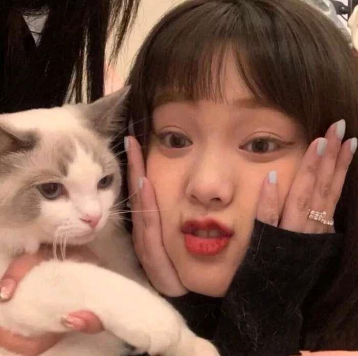 我会在腥臭的腐朽中熠熠生辉头像图片