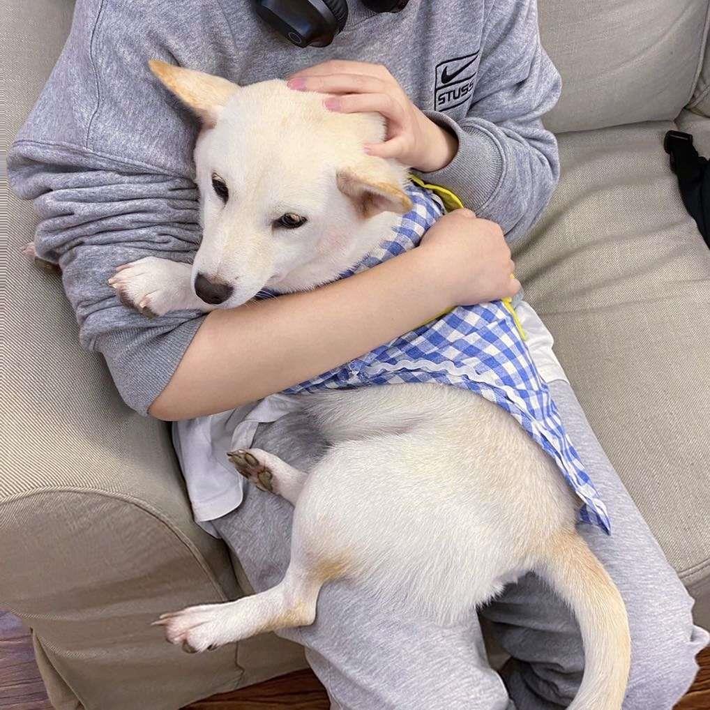 #ins头像图片