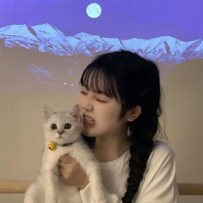 下次别再心动了笨蛋。头像图片