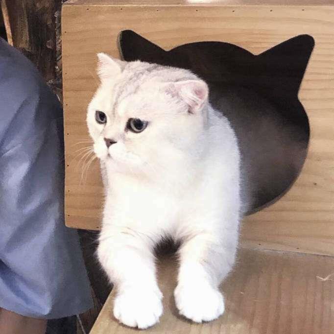 祁宋 真人恩爱情头 另一半不是人头像图片