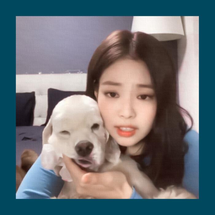 池乔：集/ 你是揉碎的日光，落入我梦境的一片温暖。头像图片