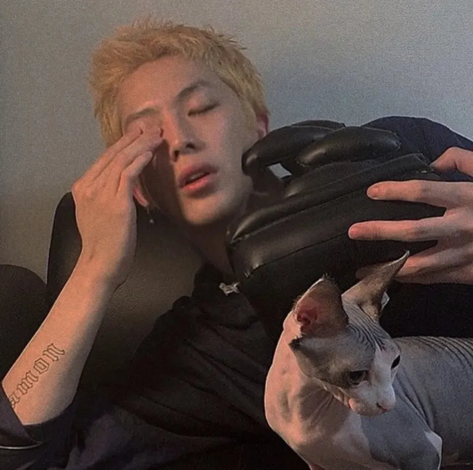 往月球寄一封情书。头像图片