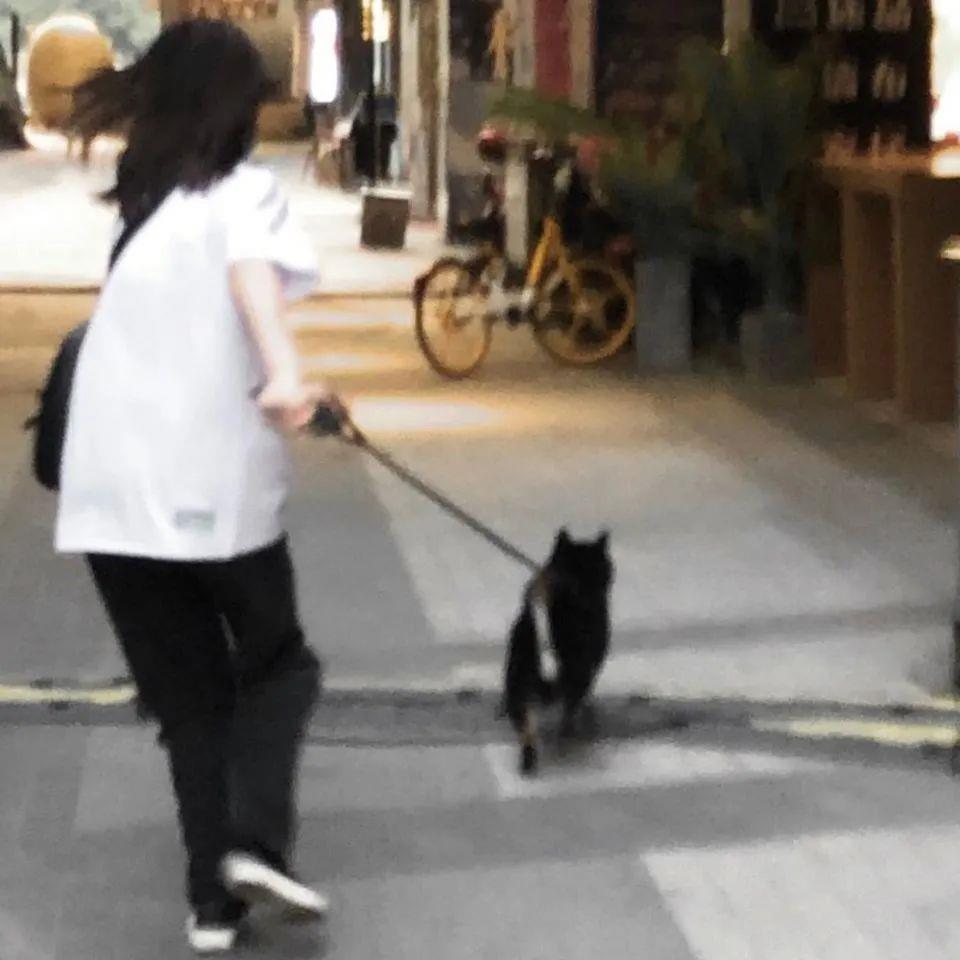 女//面对热爱要不遗余力的喜欢头像图片