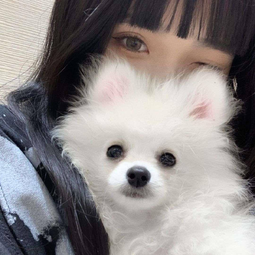 真人ins微信唯美成熟头像图片
