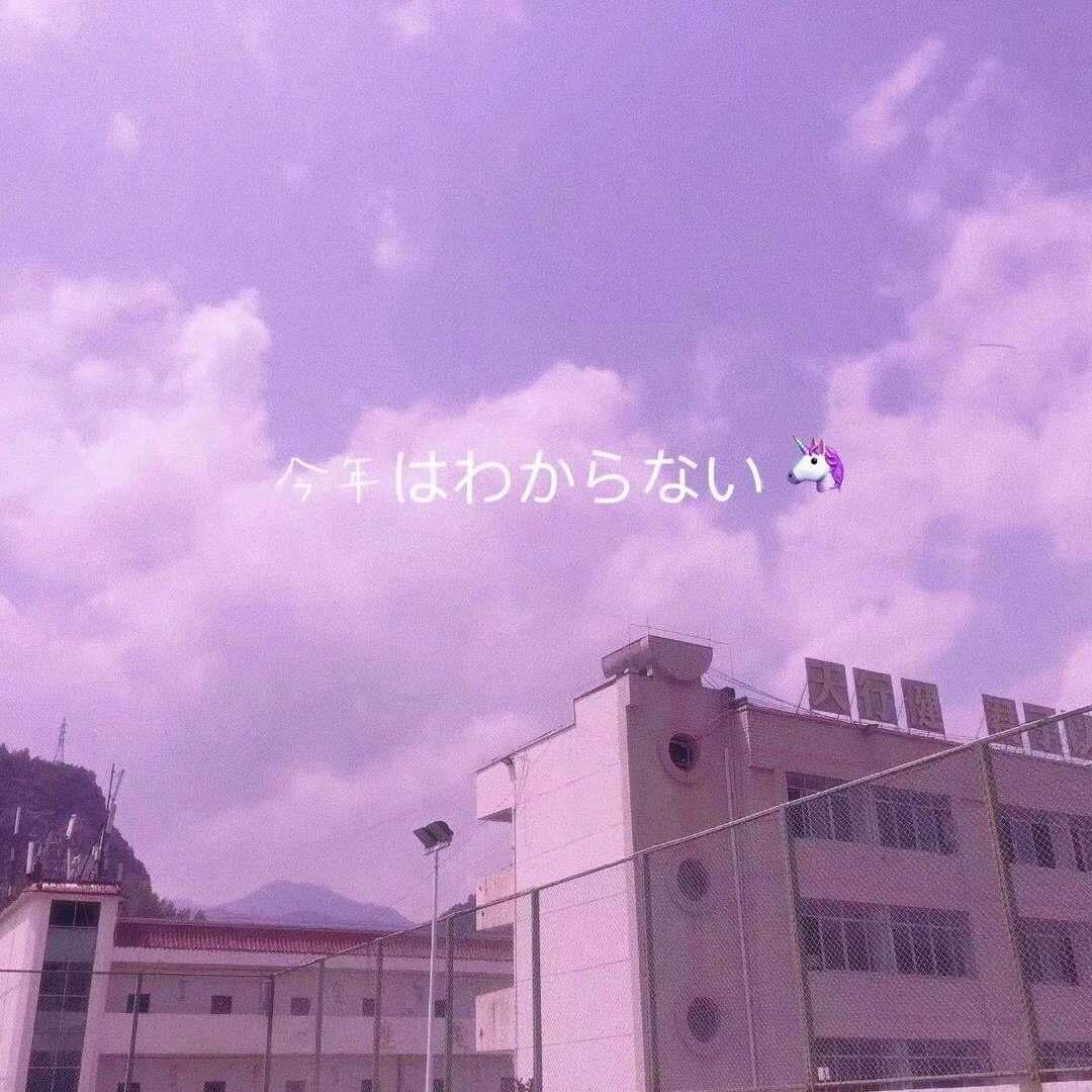 紫色控必备的浪漫紫色滤镜唯美风景头像背景图片
