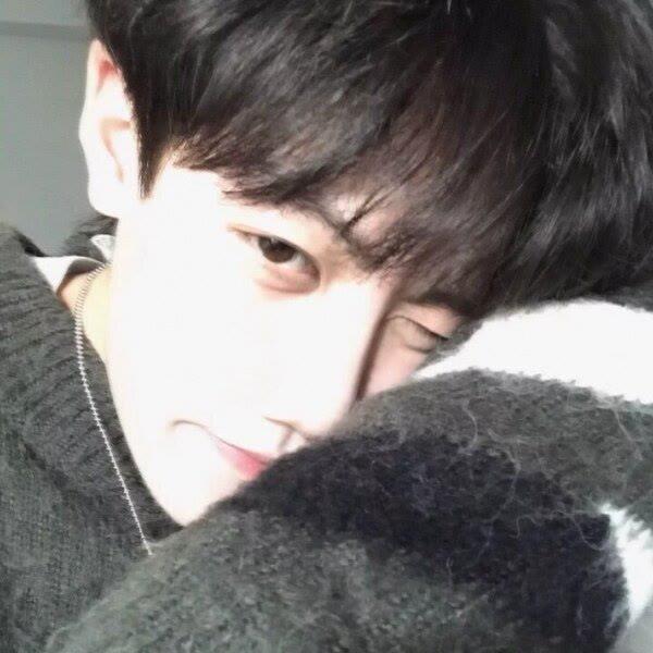 向晚/高冷成熟男生/开开心心 不动脑筋头像图片