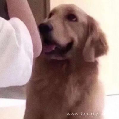 一对两张，对象不是人系列头像图片