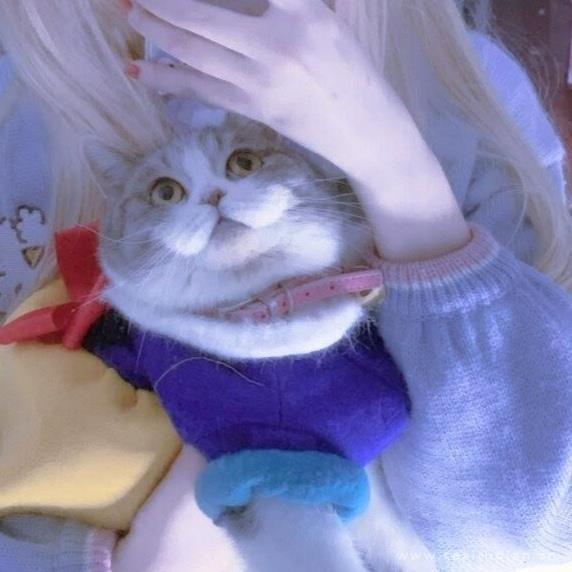 一对两张，对象不是人系列头像图片