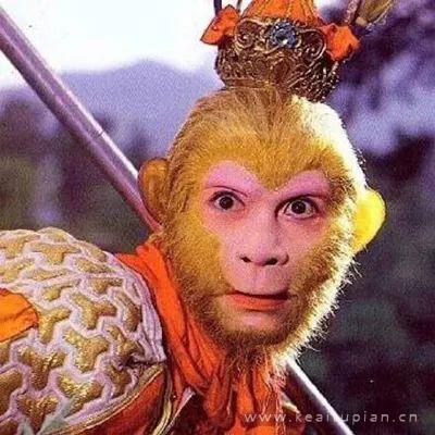 沙雕搞怪团头头像图片