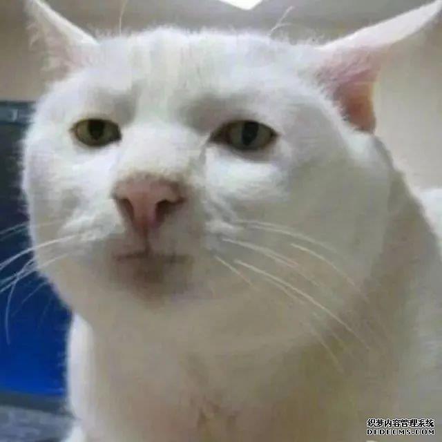 沙雕可爱情侣/“爱人还在战场，他们就不会当逃兵”头像图片