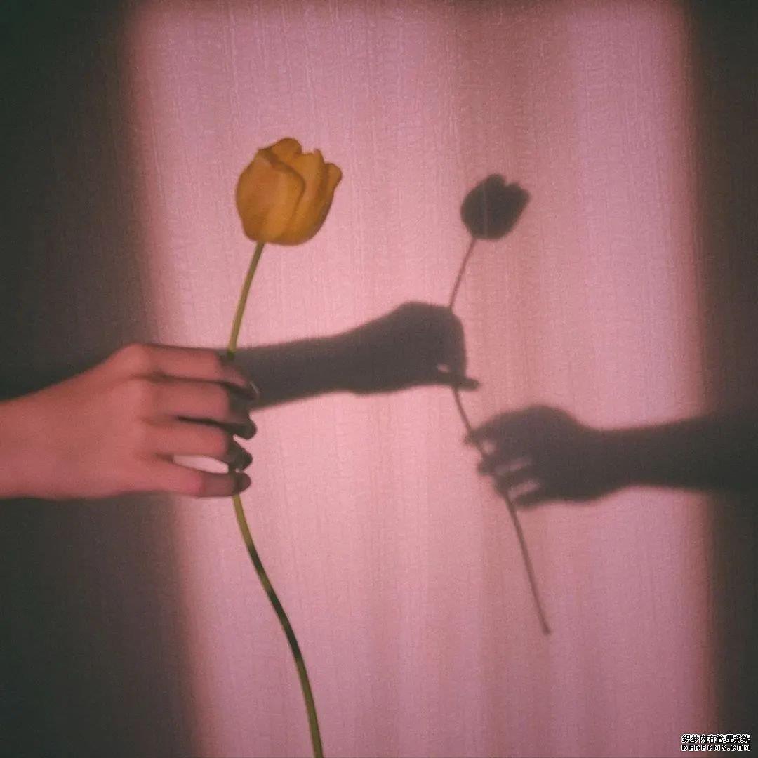 江郁:唯美/背景图头像图片