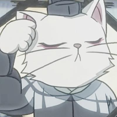 兮苒：动漫/傻吊/猫爷/‘后来回头看你，讲真的，你太一般了’头像图片