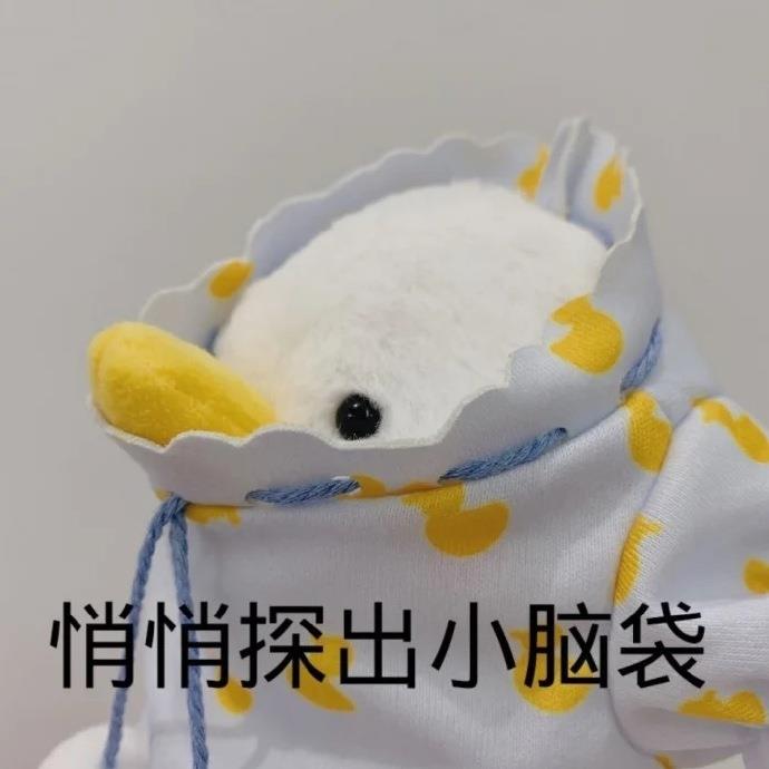 小鸭鸭表情包系列沙雕头像图片