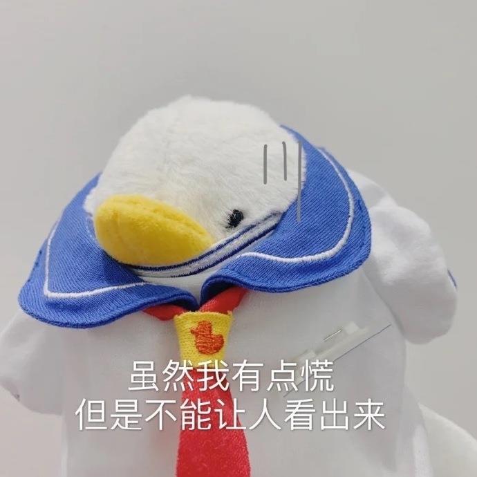 小鸭鸭表情包系列沙雕头像图片