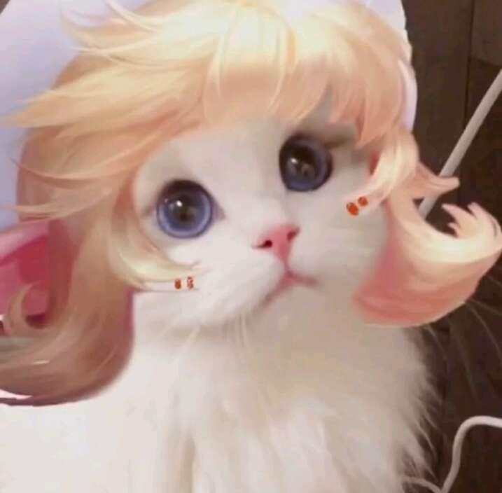 苏柒：王者系列喵咪版动漫cos2头像图片