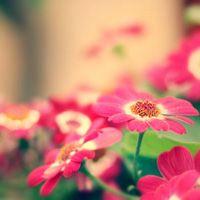 唯美意境风景头像