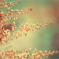 唯美意境风景头像