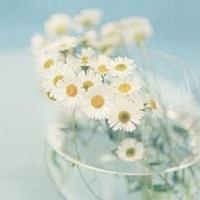 小清新风景意境唯美头像