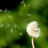 小清新风景意境唯美头像