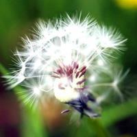 小清新风景意境唯美头像