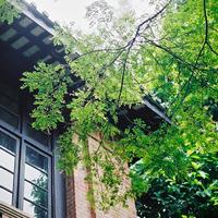 小清新文艺风景头像