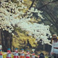小清新文艺风景头像
