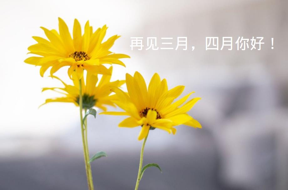 三月再见四月你好的图片唯美图片带字