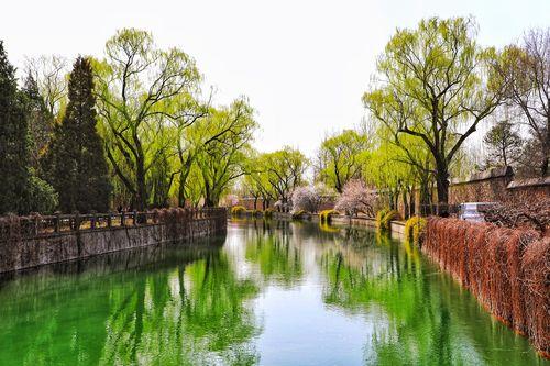 春天图片景色唯美图片 春天的图片景色高清自然风景