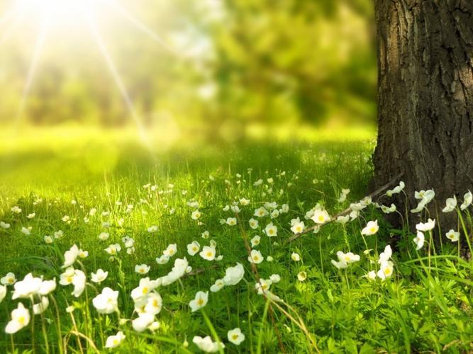 春天图片景色唯美图片 春天的图片景色高清自然风景