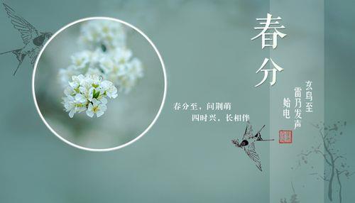 春分壁纸图片 春分背景图