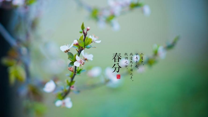 春分壁纸图片 春分背景图