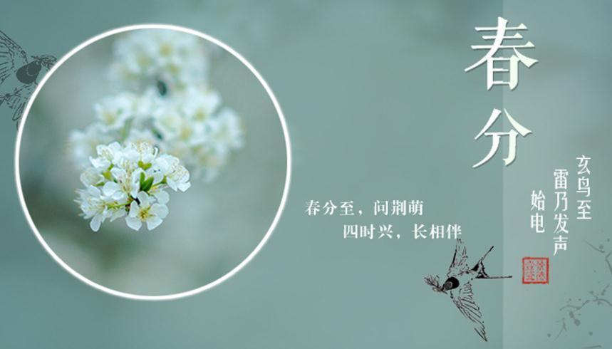 春分节气的图片 春分时节图片