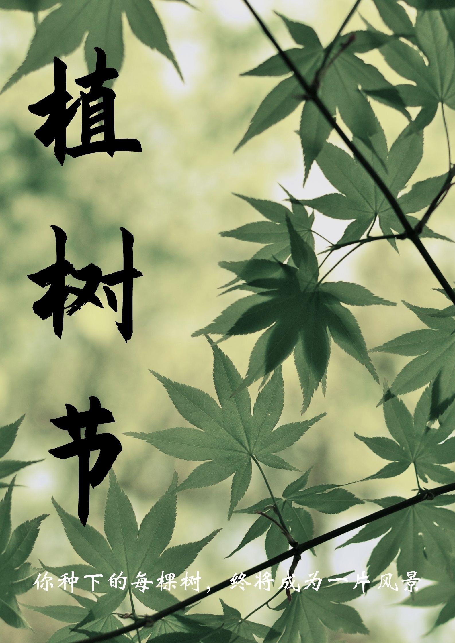 2022年最新植树节图片大全 简单好看的植树节海报图片