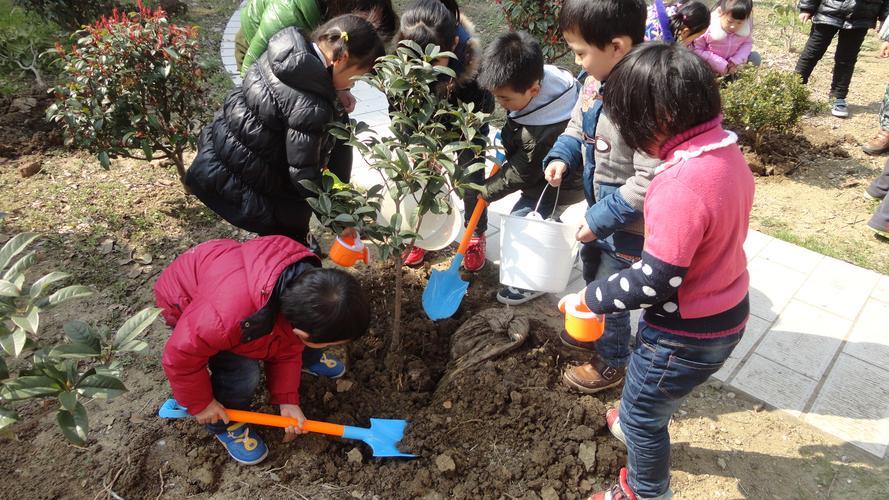 幼儿园植树节宣传图片 幼儿园植树节主题活动
