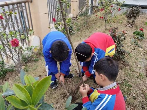 幼儿园植树节宣传图片 幼儿园植树节主题活动