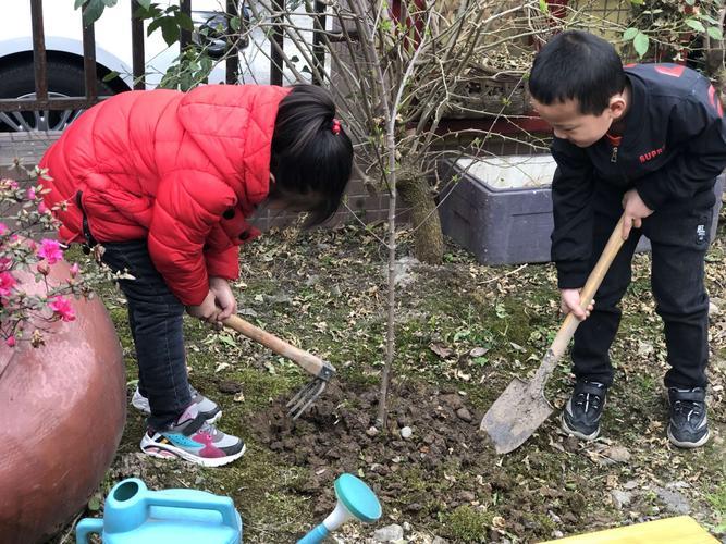 幼儿园植树节宣传图片 幼儿园植树节主题活动