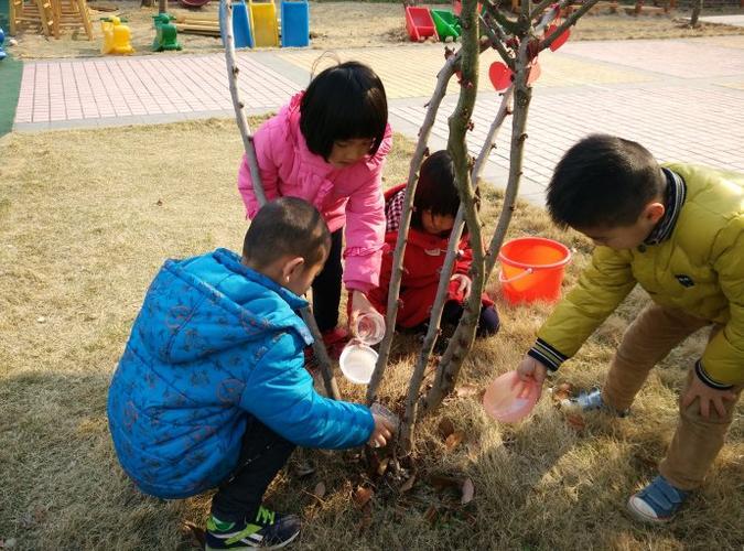 幼儿园植树节宣传图片 幼儿园植树节主题活动