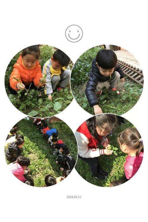 幼儿园植树节宣传图片 幼儿园植树节主题活动