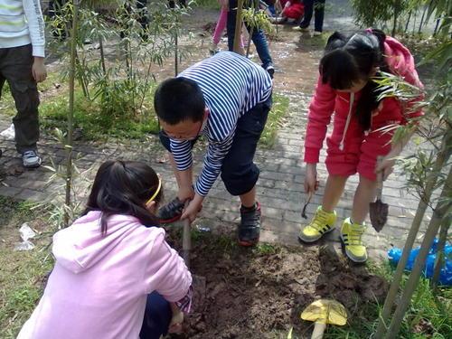 关于植树节的图片 植树节的图画