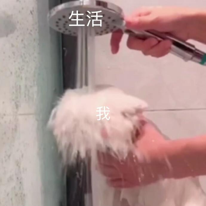生活和我表情包图片 被生活压垮的表情包带字