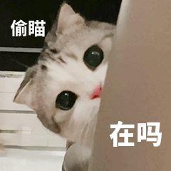 2022可爱的猫咪狗狗表情包带字图片大全