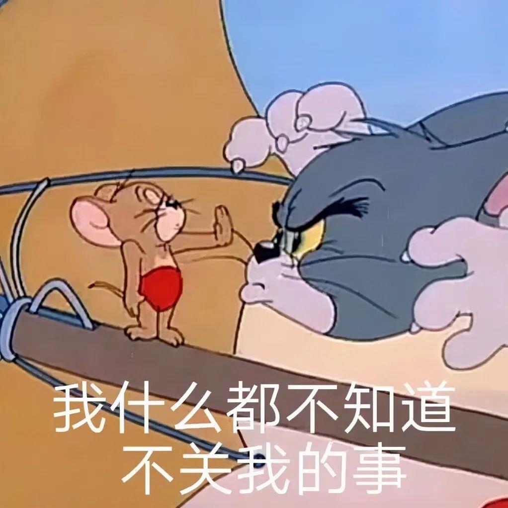 猫和老鼠杰瑞表情包图片 老鼠杰瑞的表情包