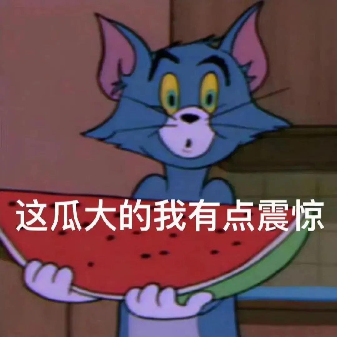 猫和老鼠里的汤姆表情包图片带字