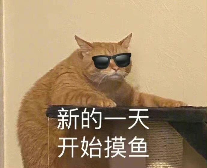 有关打工人的表情包图片带字 不想上班表情包猫咪