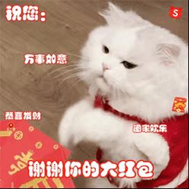 2022拜年回复表情包 可爱猫咪拜年表情包动图