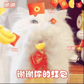 2022拜年回复表情包 可爱猫咪拜年表情包动图