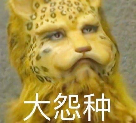 金钱豹表情包图片 西游记搞笑表情包金钱豹