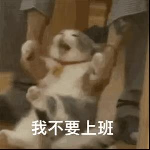 动物表情包图片带字 猫咪可爱表情包gif