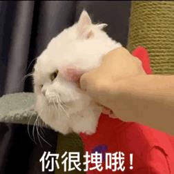 文明怼人表情包图片 骂人表情包不带脏字图片